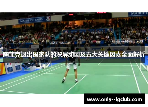 陶菲克退出国家队的深层动因及五大关键因素全面解析