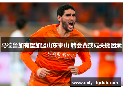 马德鲁加有望加盟山东泰山 转会费或成关键因素