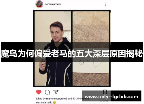 魔鸟为何偏爱老马的五大深层原因揭秘