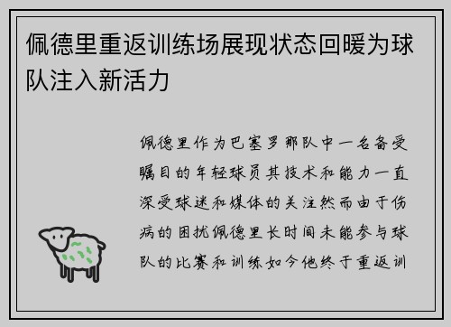 佩德里重返训练场展现状态回暖为球队注入新活力 佩德里重返训练场展现状态回暖为球队注入新活力