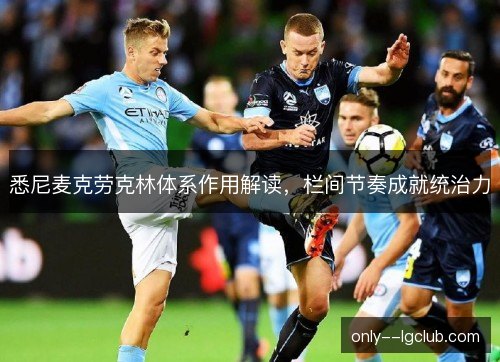 悉尼麦克劳克林体系作用解读，栏间节奏成就统治力