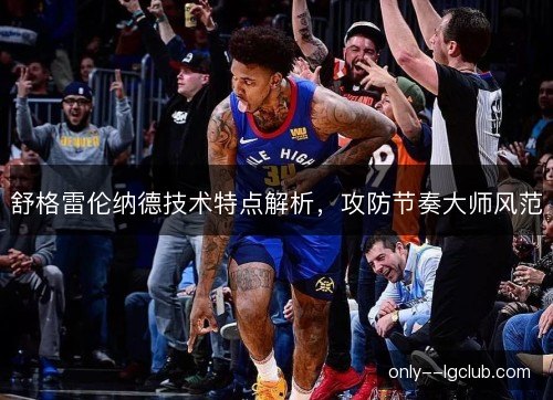 舒格雷伦纳德技术特点解析，攻防节奏大师风范